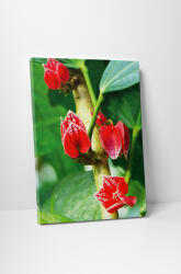 4 Decor Tablou canvas : Flori tropicale - beestick-deco - 104,00 RON