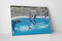 4 Decor Tablou canvas : Delfini - beestick-deco - 69,00 RON