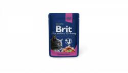 Brit Premium Cat Plic Cu Somon Si Pastrav, 10 X 100 gr