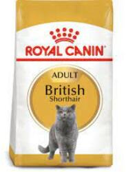 Royal Canin British Shorthair Adult 2 kg PLUS 400 g Gratis