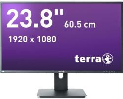 WORTMANN TERRA 2456W 3030206 Monitor