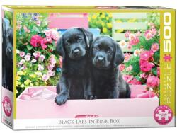 EUROGRAPHICS 500 db-os puzzle - Black Labs in Pink Box (6500-5462) (6500-5462)