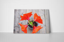 4 Decor Tablou canvas : Pentru iubitorii de flori - beestick-deco - 224,00 RON