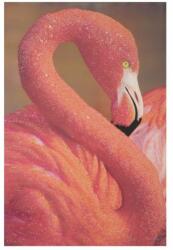 Mauro Ferretti FLAMINGO rózsaszín vászon falikép