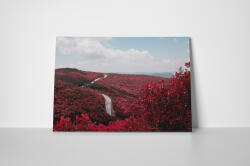 4 Decor Tablou canvas : Rosu e culoarea mea preferata - beestick-deco - 134,00 RON