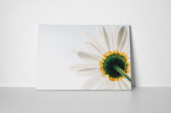 4 Decor Tablou canvas : Floare alba - beestick-deco - 89,00 RON