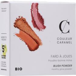 Couleur Caramel Fard de obraz Perfecțiune - Couleur Caramel Blush Powder 51 - Peach