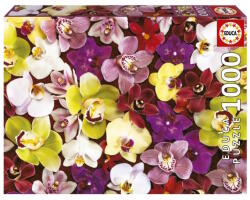 Educa 1000 db-os puzzle - Orchidea kollázs (19558)