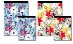 Notes Caiet Notes A4 80 de coli liniate