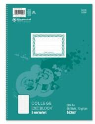 Formatwerk Caiet College Format Werk Ursus Basic A4, 80 de coli pătrate, 70g