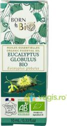Born To Bio Ulei Esential de Eucalipt Globulus Bio 10ml