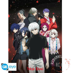 Tokyo Ghoul Poszter "Group