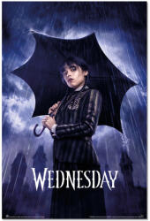 NNM постер wednesday - umbrella - gpe5735