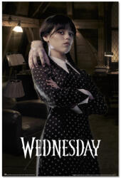 NNM постер wednesday - room - gpe5749