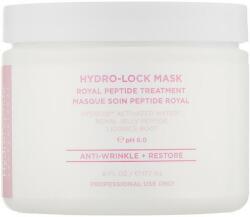 HydroPeptide Mască de față cu peptide de lăptișor de matcă, de noapte - HydroPeptide Hydro-Lock Sleep Mask 177 ml