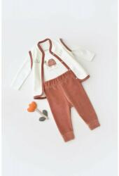 BabyCosy Set 3 piese Broscuta cu body, pantalonasi si vestuta din 80%bumbac organic si 20% poliester - Caramiziu, BabyCosy (Marime: 6-9 luni) (BC-CSYK6026-6)