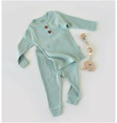 BabyCosy Set bluzita cu maneca lunga si pantaloni lungi din bumbac organic si modal - Mint BabyCosy (Marime: 9-12 luni) (BC-CSYM11509-9)