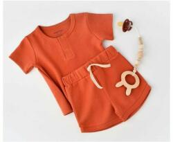 BabyCosy Set tricou cu pantaloni scurti - 100% bumbac organic - Scortisoara, BabyCosy (Marime: 12-18 Luni) (BC-CSYW1021-12)