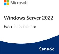 Microsoft Windows Server 2022 External Connector Perpetual (DG7GMGF0D515:0001)
