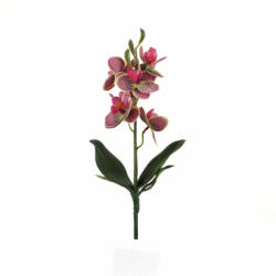  Orchidea levéllel, gyökérrel ciklámen-cirmos
