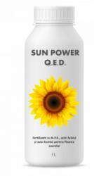 SemPlus Fertilizant EC foliar cu acizi humici si acizi fulvici pentru floarea soarelui, Sun Power Q. E. D. , 1 litru, SemPlus