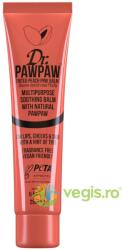 Dr. PAWPAW Balsam Multifunctional Nuanta Pink Peach 25ml