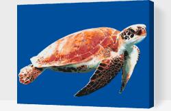 Festés számok szerint - Tengeri teknős Méret: 30x40cm, Keretezés: Keret nélkül (csak a vászon)