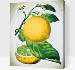 Festés számok szerint - Friss citrom Méret: 30x40cm, Keretezés: Keret nélkül (csak a vászon)
