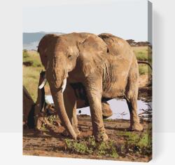 Festés számok szerint - Safari - elefánt Méret: 30x40cm, Keretezés: Keret nélkül (csak a vászon)