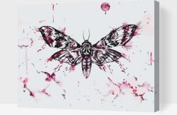 Festés számok szerint - Festmény pillangóról Méret: 30x40cm, Keretezés: Keret nélkül (csak a vászon)