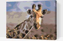 Festés számok szerint - Szafaris zsiráf Méret: 30x40cm, Keretezés: Keret nélkül (csak a vászon)