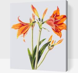  Festés számok szerint - Vintage liliom Méret: 30x40cm, Keretezés: Keret nélkül (csak a vászon)