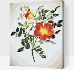  Festés számok szerint - Vintage virágok VI Méret: 30x40cm, Keretezés: Keret nélkül (csak a vászon)