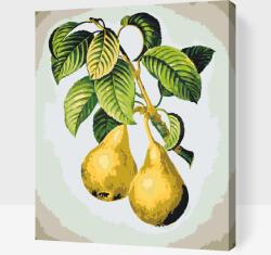 Festés számok szerint - Érett körték Méret: 30x40cm, Keretezés: Keret nélkül (csak a vászon)