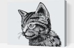 Festés számok szerint - Cuki fekete-fehér cirmos cica Méret: 30x40cm, Keretezés: Keret nélkül (csak a vászon)