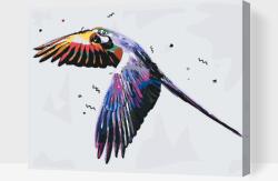 Festés számok szerint - Repülő papagáj Méret: 30x40cm, Keretezés: Keret nélkül (csak a vászon)