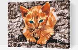 Festés számok szerint - Kövön pihenő cicus Méret: 30x40cm, Keretezés: Keret nélkül (csak a vászon)