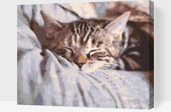 Festés számok szerint - Alvó cica Méret: 30x40cm, Keretezés: Keret nélkül (csak a vászon)