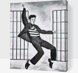 Festés számok szerint - Elvis Presley Méret: 30x40cm, Keretezés: Keret nélkül (csak a vászon)