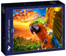 Bluebird Puzzle 1000 db-os puzzle - Parrot (90263) (90263)