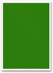 BLUERING Etikett címke, 210x297mm, 1 címke/lap zöld Bluering® (BRET111Z) - iroszer24