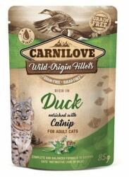 CARNILOVE Wild-Origin Fillets Adult duck 24x85 g