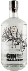 Rammstein Gin - джин 700ml 700 ml