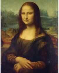 Royal & Langnickel Set pictura pe panza Leonardo da Vinci, Mona Lisa (POMA1) Carte de colorat