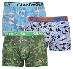 Gianvaglia 3PACK boxeri bărbați Gianvaglia multicolori (GVG-5501) M (170072)