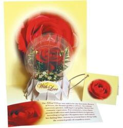 Popshots Felicitare 3D tip glob, Trandafir rosu (3508)
