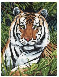 Royal & Langnickel Prima pictura pe numere junior mica, Tigru ascuns (PJS75) Carte de colorat