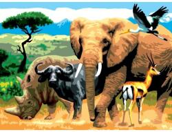 Royal & Langnickel Pictura creativa pe numere avansati Africa (PJL9)