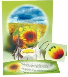 Popshots Felicitare 3D tip glob, Floarea soarelui (3507)