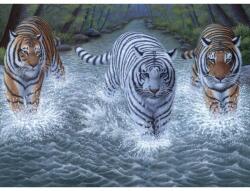 Royal & Langnickel Pictura pe numere juniori, 3 tigri (PJL34) Carte de colorat